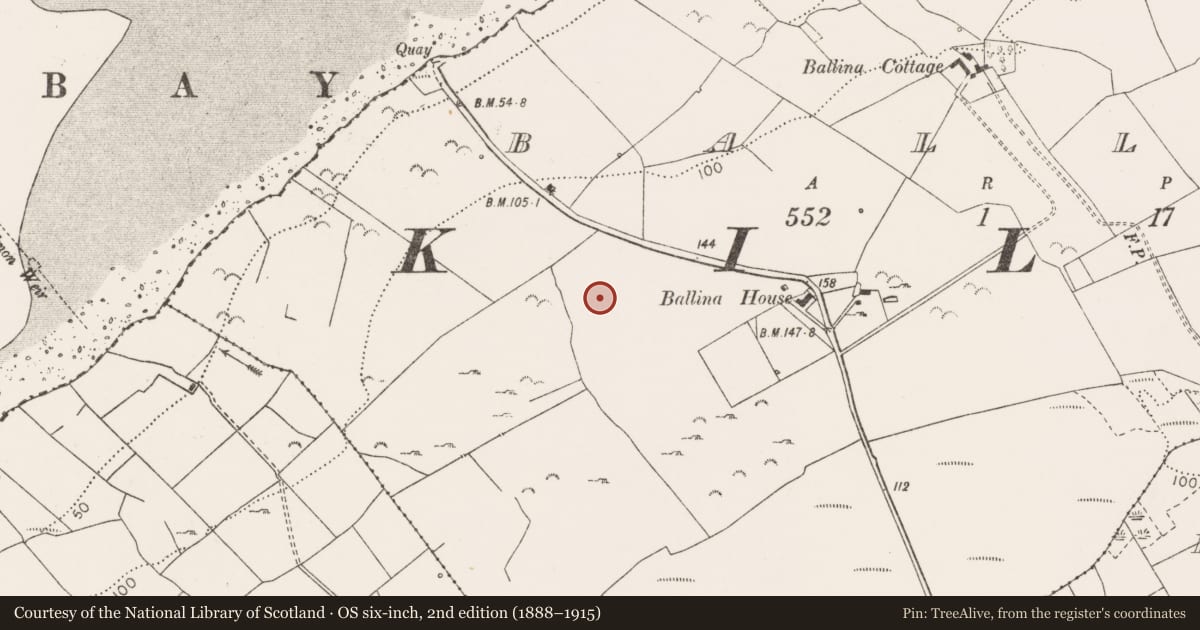 Ordnance Survey six-inch map, 2nd edition (1888–1915) covering the location of Ringfort - rath, Ballina, County Clare, with a pin at the register's coordinates