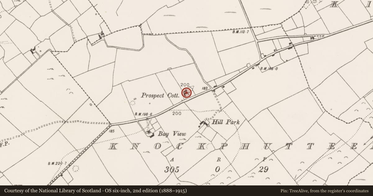 Ordnance Survey six-inch map, 2nd edition (1888–1915) covering the location of Quarry, Knockphutteen, County Clare, with a pin at the register's coordinates