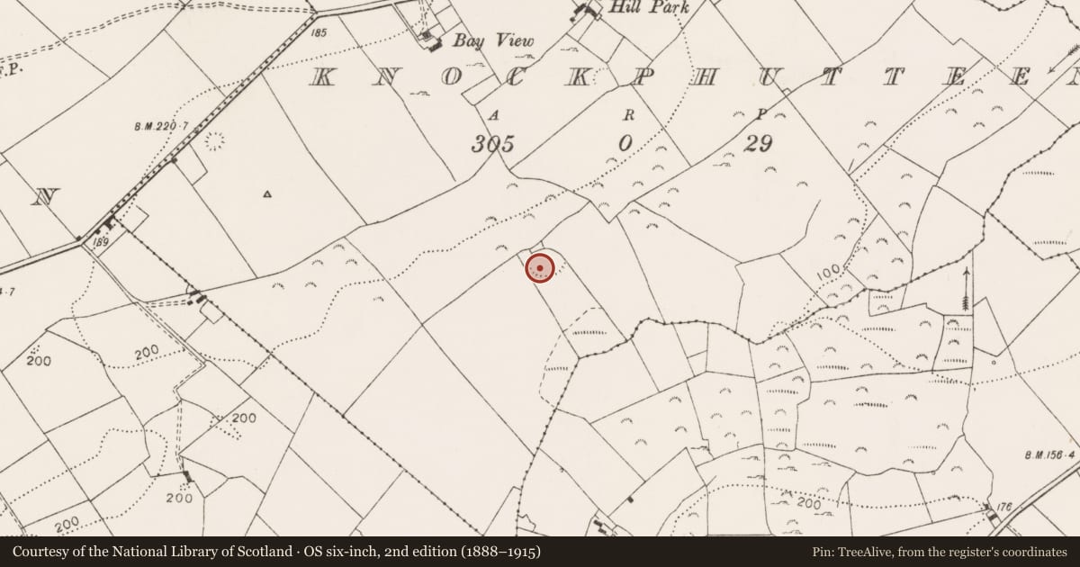 Ordnance Survey six-inch map, 2nd edition (1888–1915) covering the location of Ringfort - rath, Knockphutteen, County Clare, with a pin at the register's coordinates
