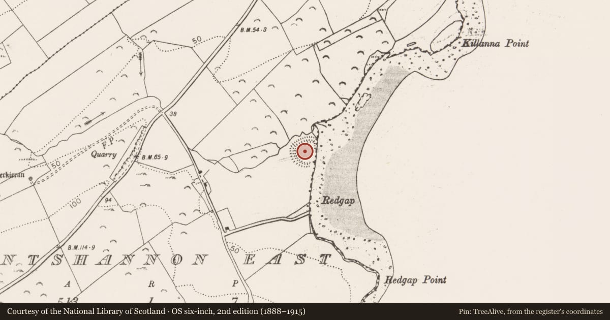 Ordnance Survey six-inch map, 2nd edition (1888–1915) covering the location of Ringfort - rath, Mountshannon East, County Clare, with a pin at the register's coordinates