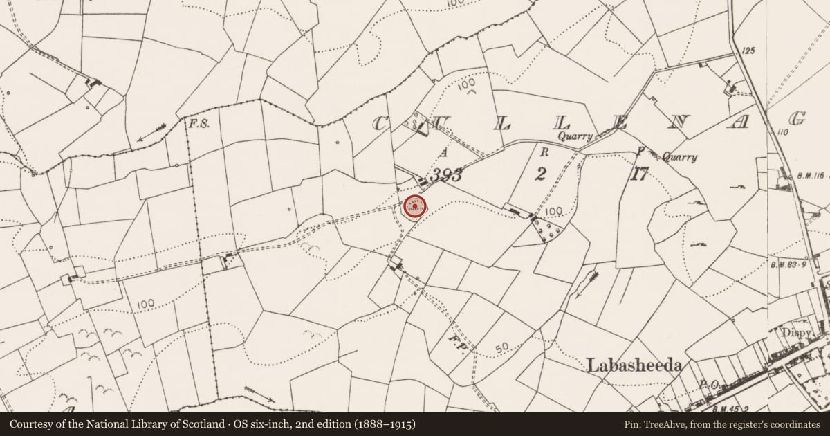 Ordnance Survey six-inch map, 2nd edition (1888–1915) covering the location of Ringfort - rath, Cullenagh, County Clare, with a pin at the register's coordinates