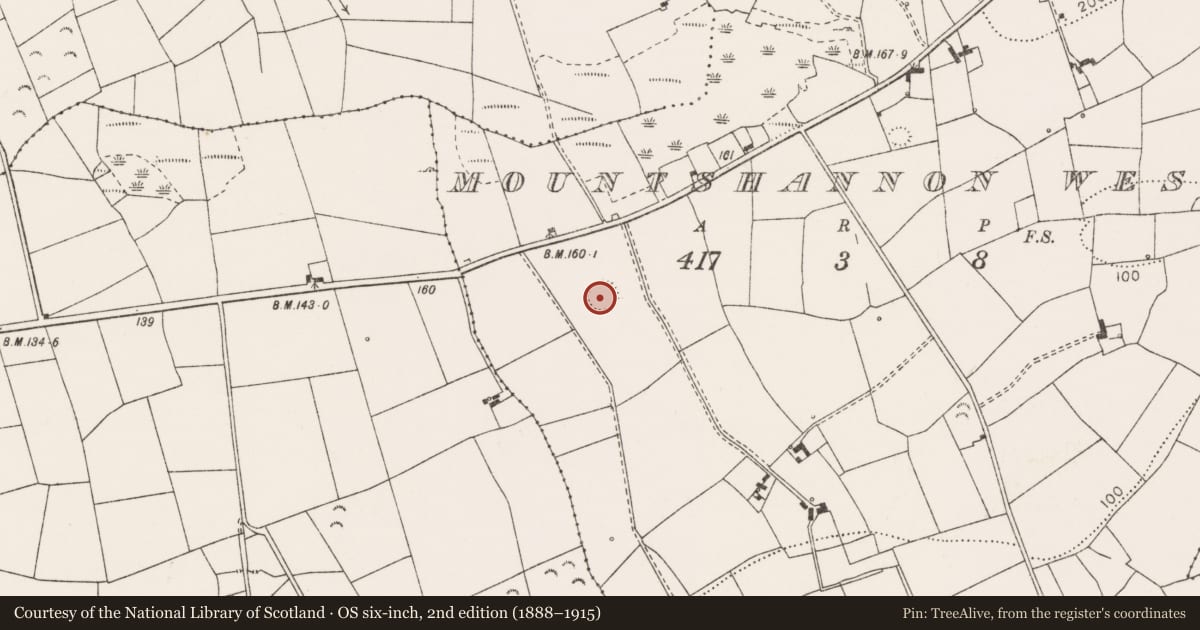 Ordnance Survey six-inch map, 2nd edition (1888–1915) covering the location of Ringfort - rath, Mountshannon West, County Clare, with a pin at the register's coordinates