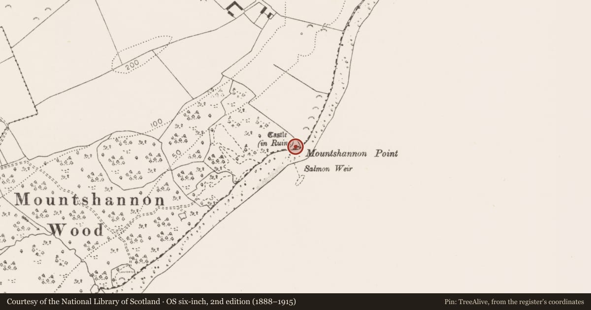 Ordnance Survey six-inch map, 2nd edition (1888–1915) covering the location of Castle - tower house, Mountshannon East, County Clare, with a pin at the register's coordinates