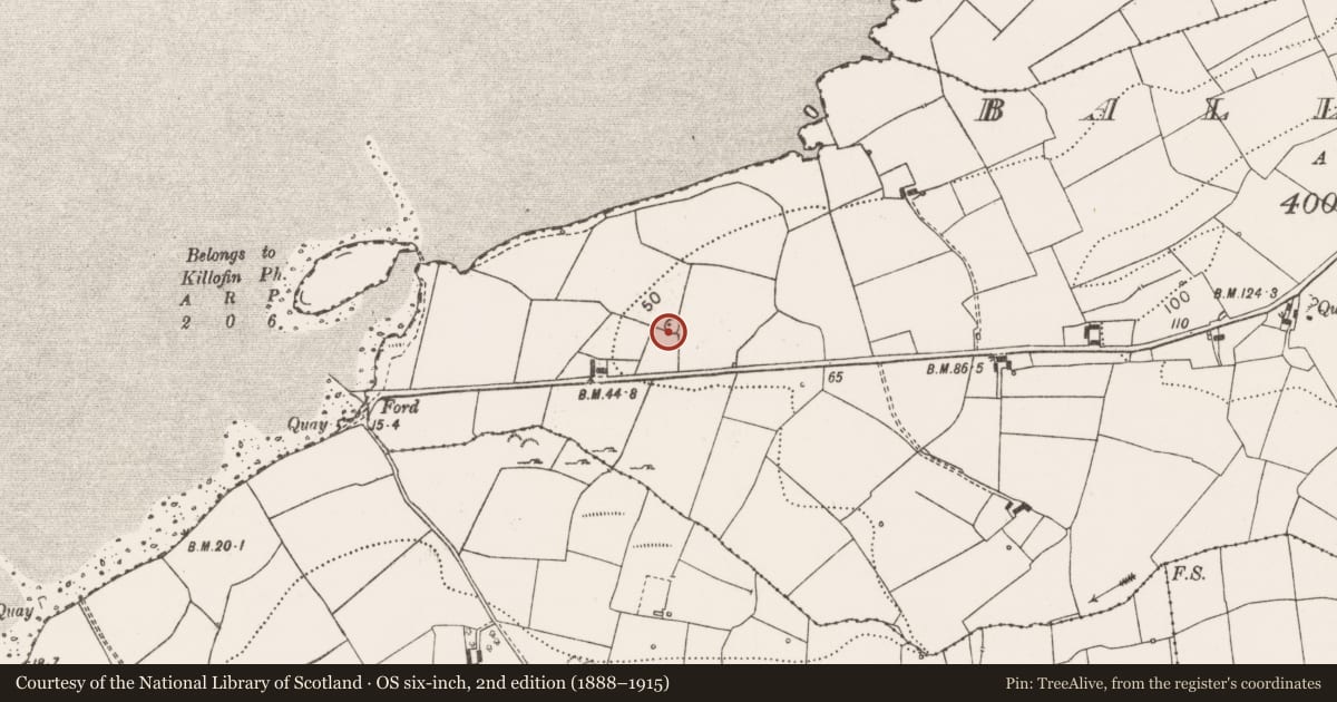 Ordnance Survey six-inch map, 2nd edition (1888–1915) covering the location of Ringfort - rath, Ballyartney, County Clare, with a pin at the register's coordinates