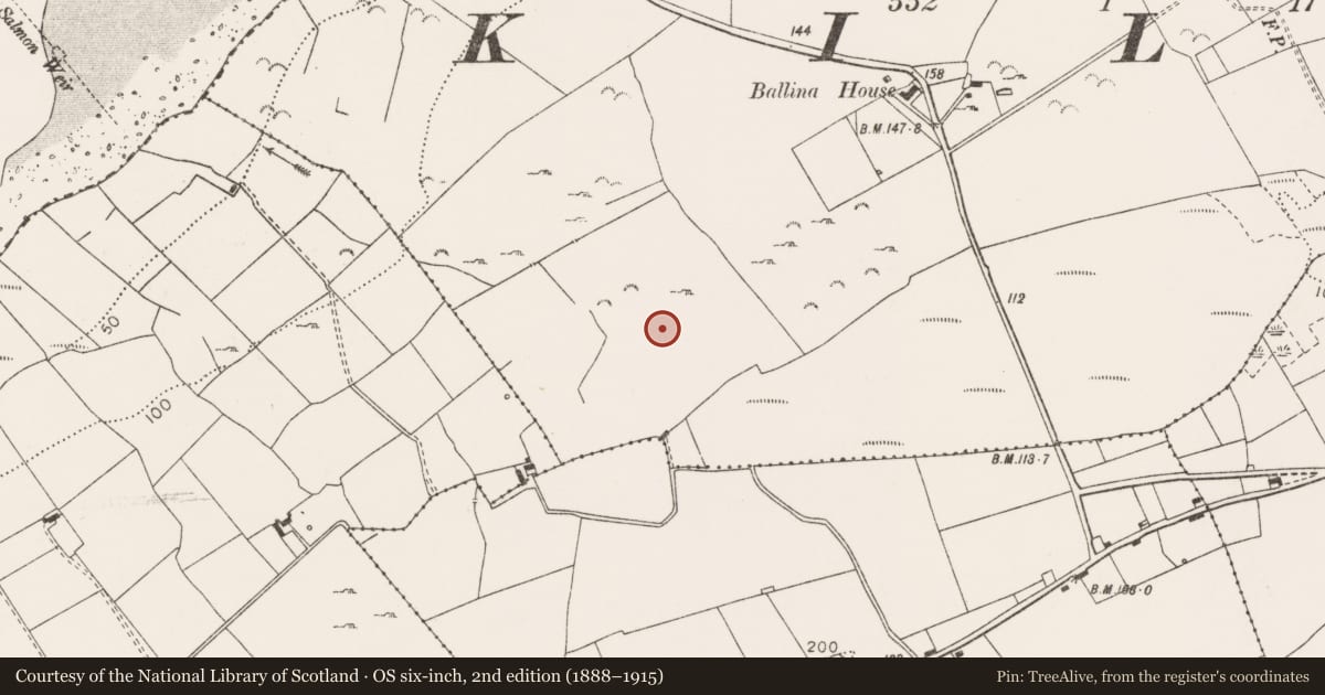Ordnance Survey six-inch map, 2nd edition (1888–1915) covering the location of Standing stone, Ballina, County Clare, with a pin at the register's coordinates
