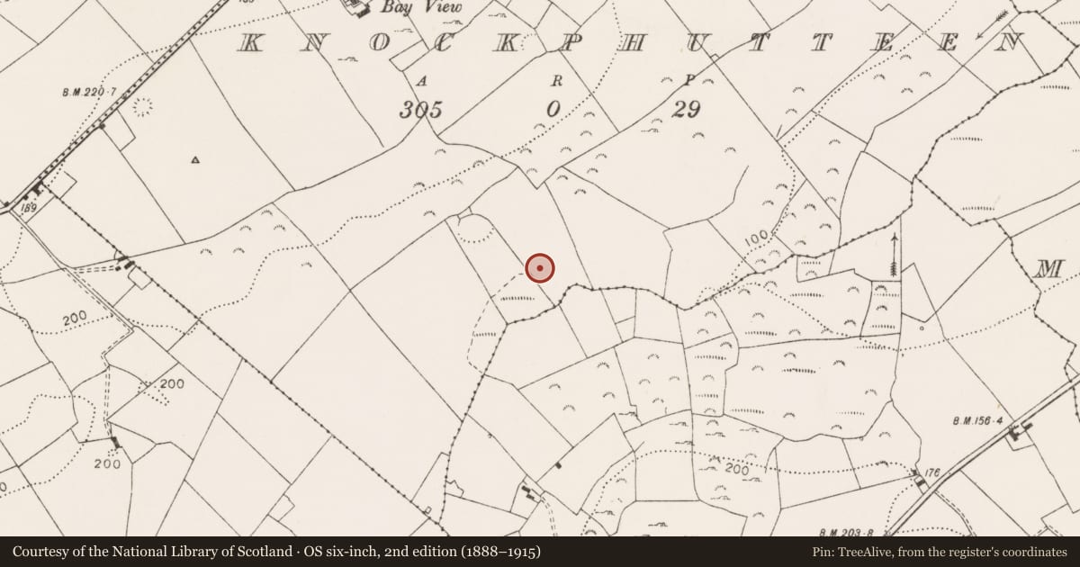 Ordnance Survey six-inch map, 2nd edition (1888–1915) covering the location of Fulacht fia, Knockphutteen, County Clare, with a pin at the register's coordinates