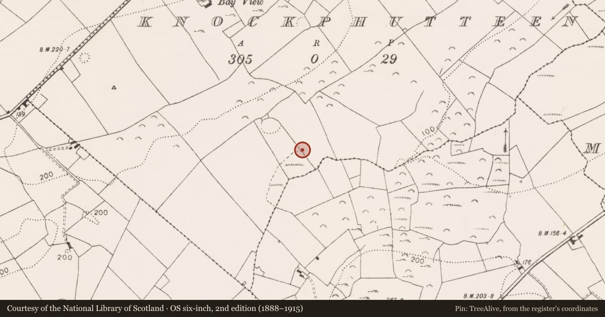 Ordnance Survey six-inch map, 2nd edition (1888–1915) covering the location of Fulacht fia, Knockphutteen, County Clare, with a pin at the register's coordinates