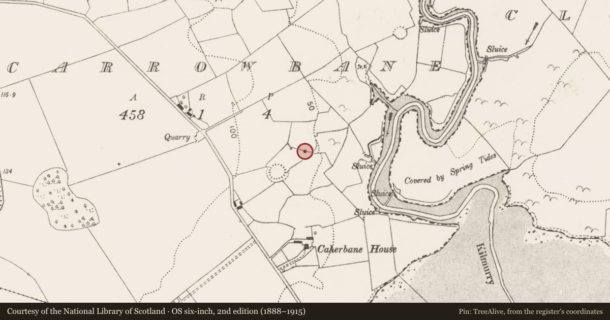 Ordnance Survey six-inch map, 2nd edition (1888–1915) covering the location of Fulacht fia, Carrowbane, County Clare, with a pin at the register's coordinates