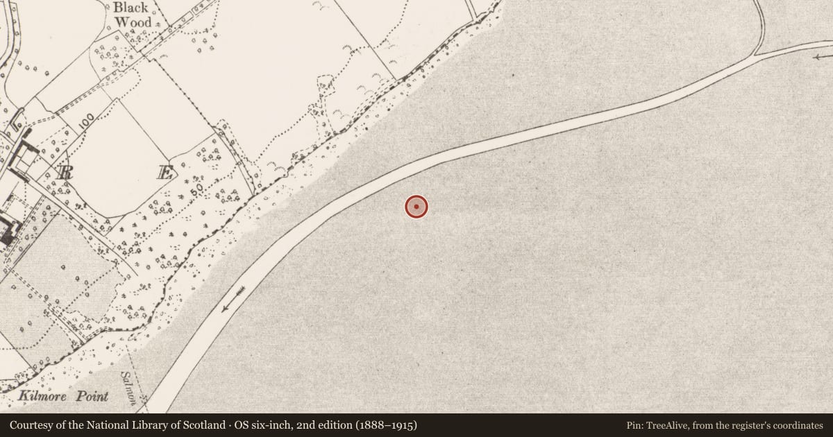 Ordnance Survey six-inch map, 2nd edition (1888–1915) covering the location of Weir - fish, Carrowbane, River Shannon, County Clare, with a pin at the register's coordinates