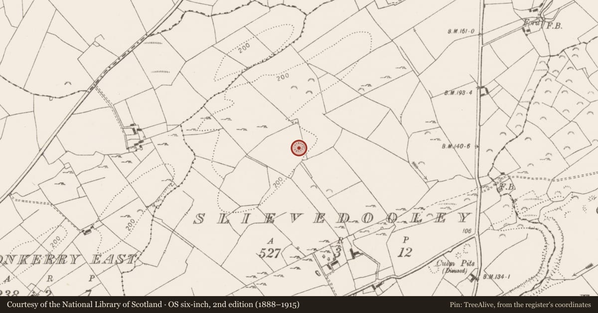 Ordnance Survey six-inch map, 2nd edition (1888–1915) covering the location of Ringfort - rath, Slievedooley, County Clare, with a pin at the register's coordinates