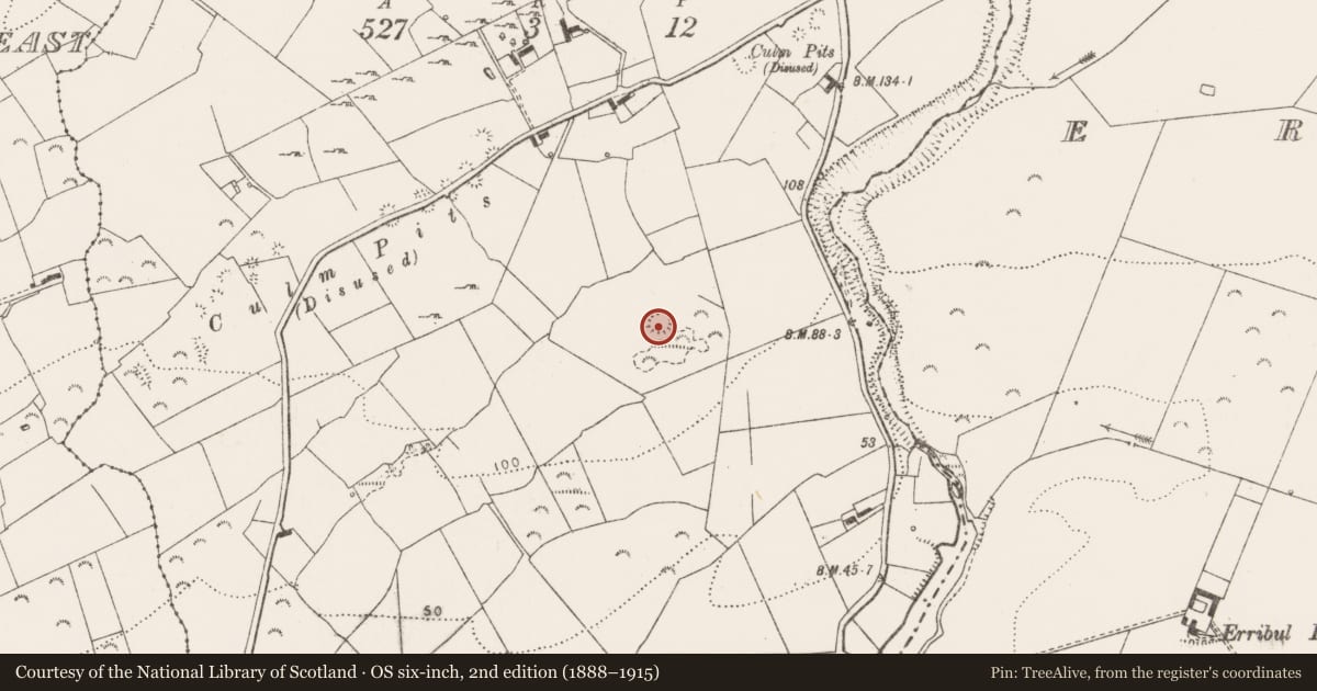 Ordnance Survey six-inch map, 2nd edition (1888–1915) covering the location of Ringfort - rath, Slievedooley, County Clare, with a pin at the register's coordinates