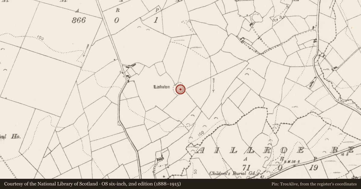 Ordnance Survey six-inch map, 2nd edition (1888–1915) covering the location of Ringfort - rath, Erribul, County Clare, with a pin at the register's coordinates