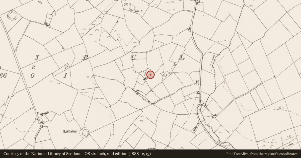 Ordnance Survey six-inch map, 2nd edition (1888–1915) covering the location of Ringfort - rath, Erribul, County Clare, with a pin at the register's coordinates