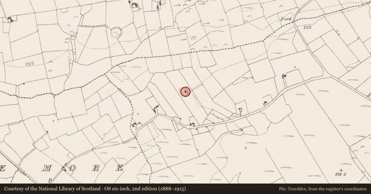 Ordnance Survey six-inch map, 2nd edition (1888–1915) covering the location of Ringfort - rath, Shannakea More, County Clare, with a pin at the register's coordinates