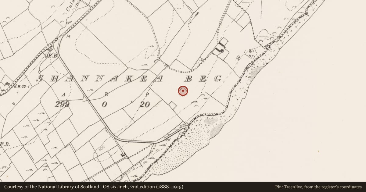 Ordnance Survey six-inch map, 2nd edition (1888–1915) covering the location of Ringfort - rath, Shannakea Beg, County Clare, with a pin at the register's coordinates