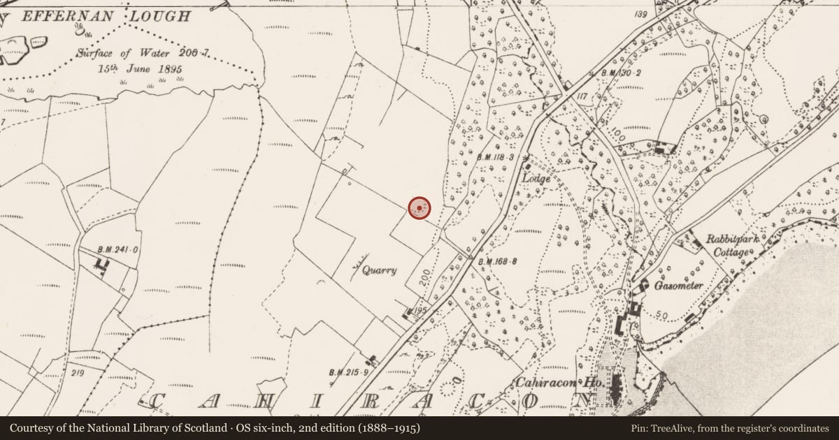 Ordnance Survey six-inch map, 2nd edition (1888–1915) covering the location of Ringfort - rath, Cahiracon, County Clare, with a pin at the register's coordinates