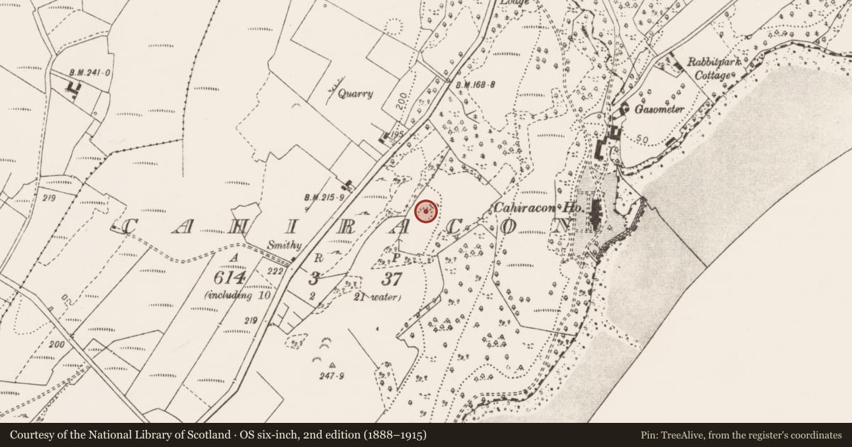 Ordnance Survey six-inch map, 2nd edition (1888–1915) covering the location of Ringfort - rath, Cahiracon, County Clare, with a pin at the register's coordinates