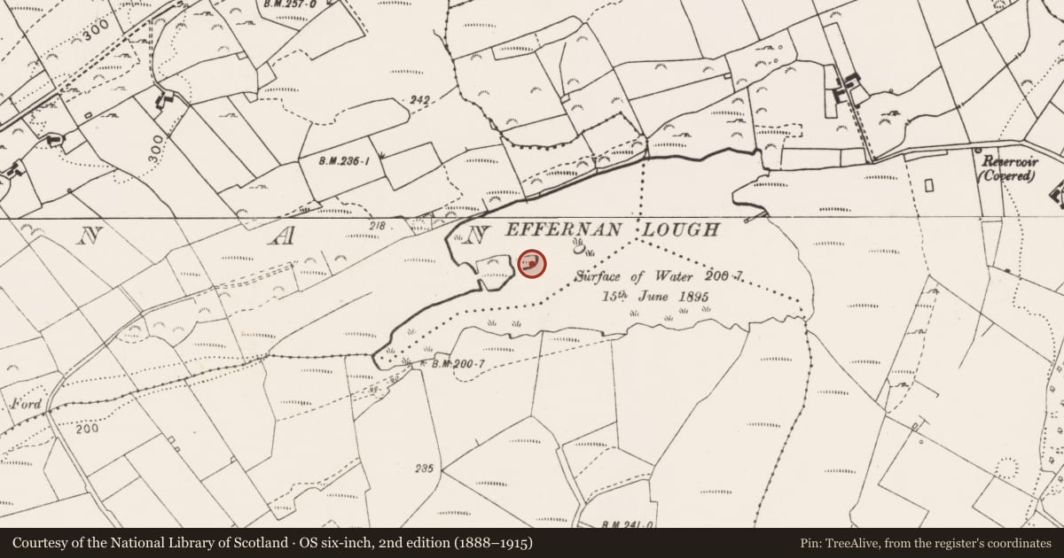 Ordnance Survey six-inch map, 2nd edition (1888–1915) covering the location of Crannog, Effernan, County Clare, with a pin at the register's coordinates