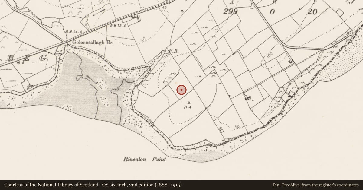 Ordnance Survey six-inch map, 2nd edition (1888–1915) covering the location of Fulacht fia, Shannakea Beg, County Clare, with a pin at the register's coordinates