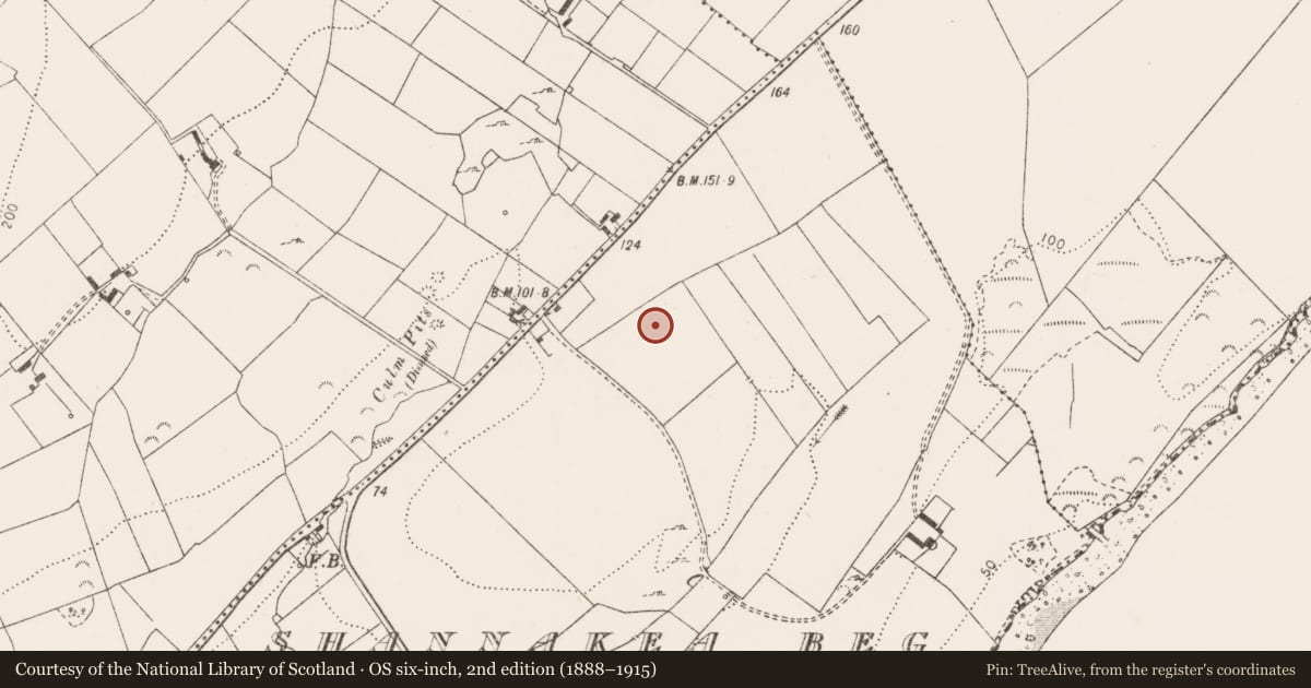 Ordnance Survey six-inch map, 2nd edition (1888–1915) covering the location of Burnt mound, Shannakea Beg, County Clare, with a pin at the register's coordinates