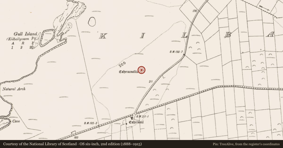 Ordnance Survey six-inch map, 2nd edition (1888–1915) covering the location of Ringfort - cashel, Kilbaha North, County Clare, with a pin at the register's coordinates