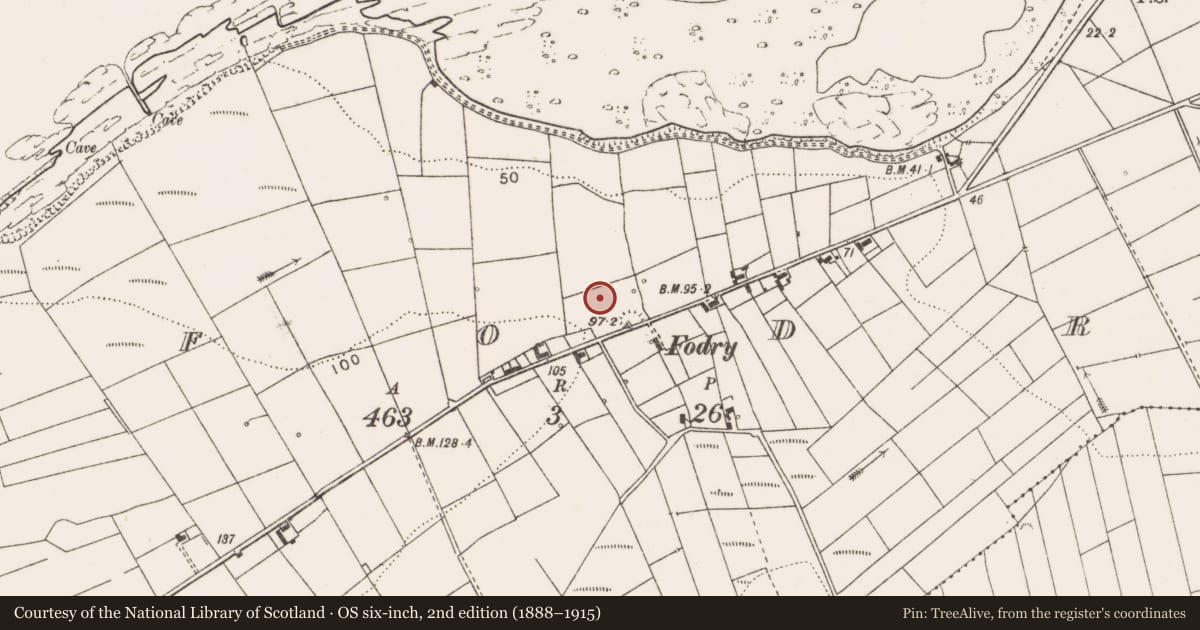Ordnance Survey six-inch map, 2nd edition (1888–1915) covering the location of Field system, Fodry, County Clare, with a pin at the register's coordinates