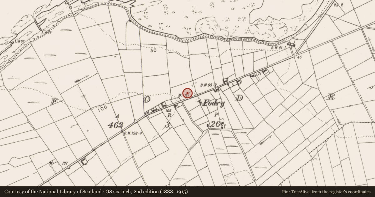 Ordnance Survey six-inch map, 2nd edition (1888–1915) covering the location of Souterrain, Fodry, County Clare, with a pin at the register's coordinates