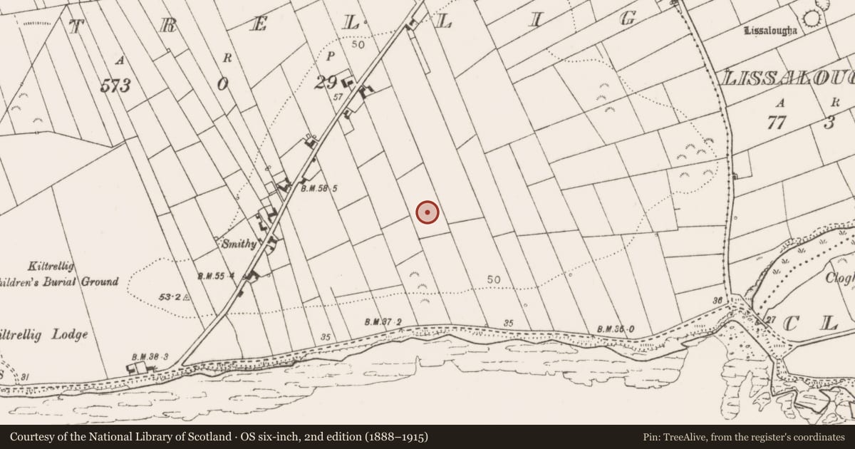 Ordnance Survey six-inch map, 2nd edition (1888–1915) covering the location of Ringfort - rath, Kiltrellig, County Clare, with a pin at the register's coordinates