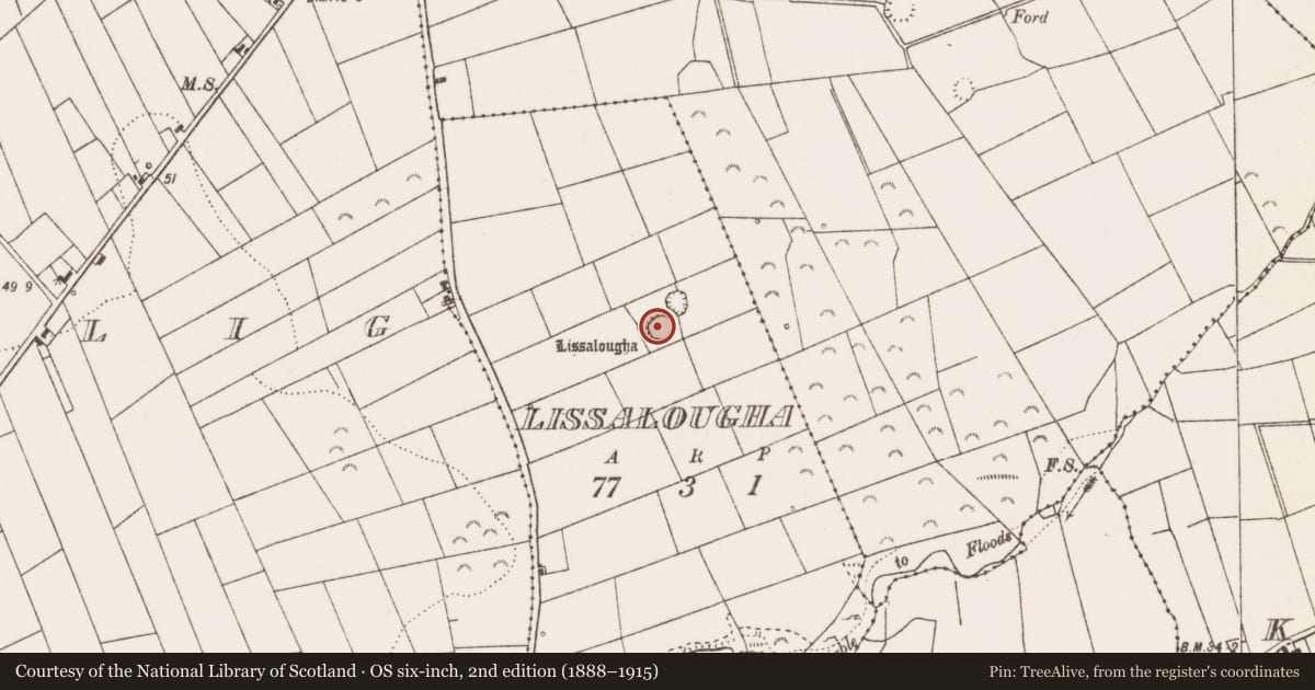 Ordnance Survey six-inch map, 2nd edition (1888–1915) covering the location of Ringfort - rath, Lissalougha, County Clare, with a pin at the register's coordinates