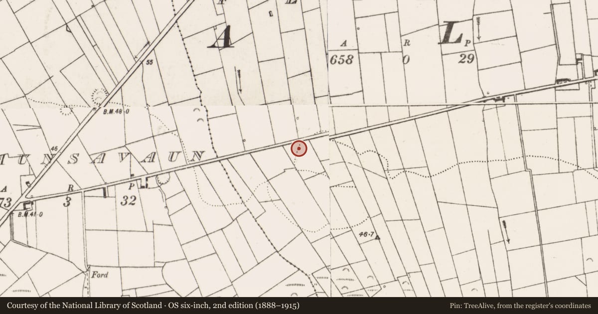 Ordnance Survey six-inch map, 2nd edition (1888–1915) covering the location of Enclosure, Feeard, County Clare, with a pin at the register's coordinates