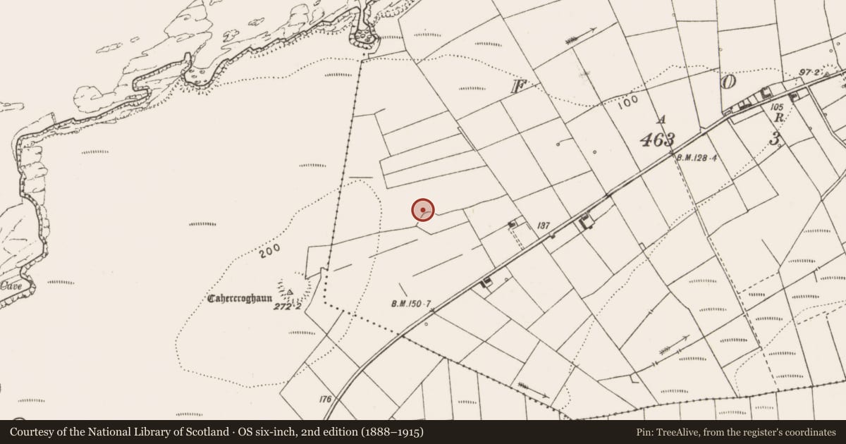 Ordnance Survey six-inch map, 2nd edition (1888–1915) covering the location of Ringfort - rath, Kilbaha North, County Clare, with a pin at the register's coordinates