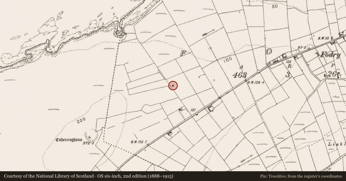 Ordnance Survey six-inch map, 2nd edition (1888–1915) covering the location of Enclosure, Fodry, County Clare, with a pin at the register's coordinates