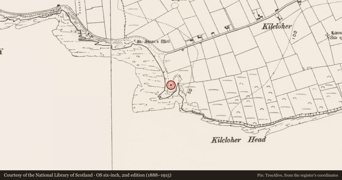 Ordnance Survey six-inch map, 2nd edition (1888–1915) covering the location of Promontory fort - coastal, Kilcloher, County Clare, with a pin at the register's coordinates