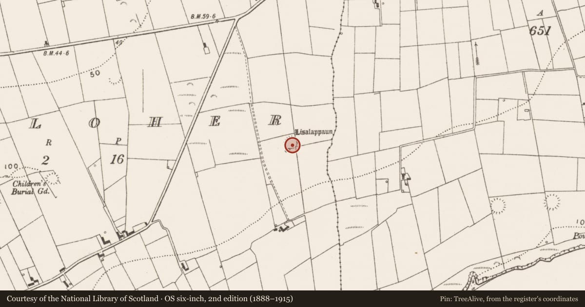 Ordnance Survey six-inch map, 2nd edition (1888–1915) covering the location of Ringfort - rath, Kilcloher, County Clare, with a pin at the register's coordinates