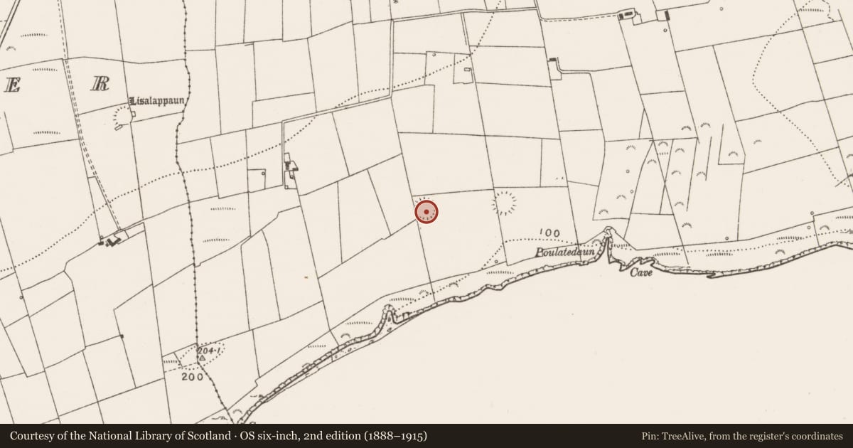 Ordnance Survey six-inch map, 2nd edition (1888–1915) covering the location of Ringfort - rath, Rehy West, County Clare, with a pin at the register's coordinates