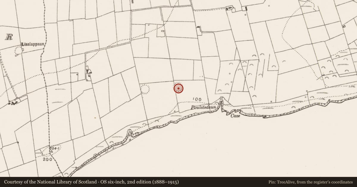 Ordnance Survey six-inch map, 2nd edition (1888–1915) covering the location of Ringfort - rath, Rehy West, County Clare, with a pin at the register's coordinates