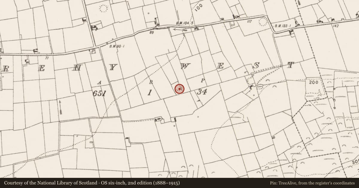 Ordnance Survey six-inch map, 2nd edition (1888–1915) covering the location of Ringfort - rath, Rehy West, County Clare, with a pin at the register's coordinates