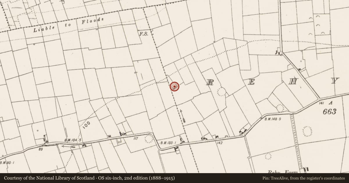 Ordnance Survey six-inch map, 2nd edition (1888–1915) covering the location of Ringfort - rath, Rehy East, County Clare, with a pin at the register's coordinates