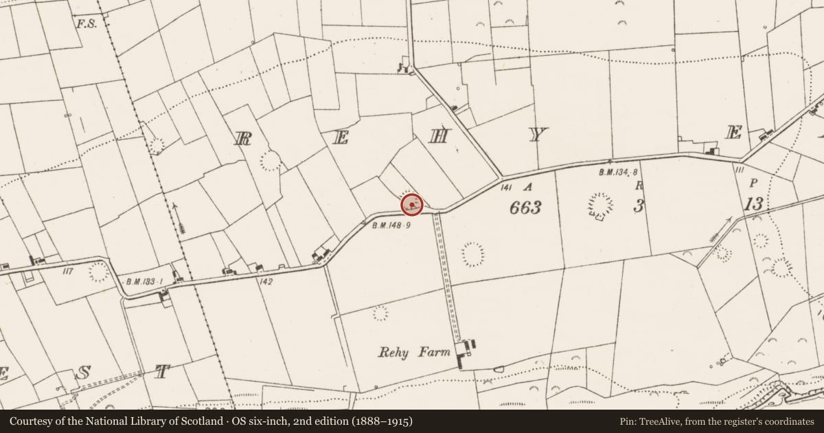 Ordnance Survey six-inch map, 2nd edition (1888–1915) covering the location of Ringfort - rath, Rehy East, County Clare, with a pin at the register's coordinates