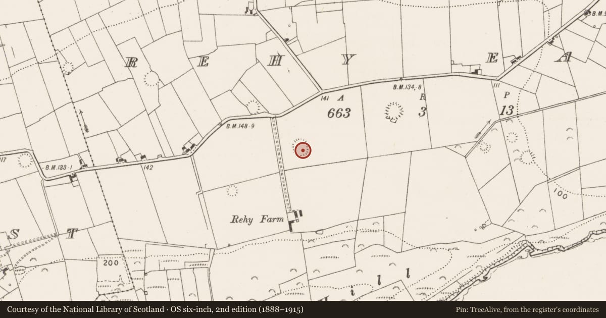 Ordnance Survey six-inch map, 2nd edition (1888–1915) covering the location of Ringfort - rath, Rehy East, County Clare, with a pin at the register's coordinates