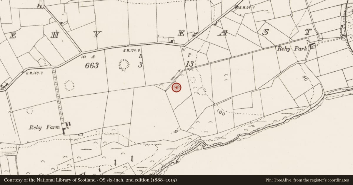 Ordnance Survey six-inch map, 2nd edition (1888–1915) covering the location of Ringfort - rath, Rehy East, County Clare, with a pin at the register's coordinates