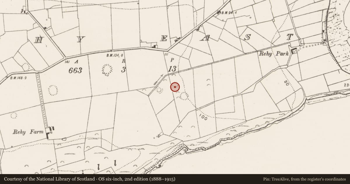 Ordnance Survey six-inch map, 2nd edition (1888–1915) covering the location of Ringfort - rath, Rehy East, County Clare, with a pin at the register's coordinates