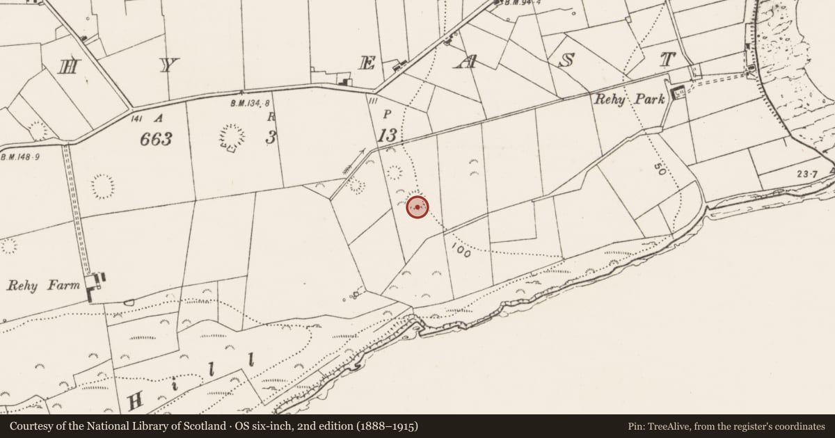 Ordnance Survey six-inch map, 2nd edition (1888–1915) covering the location of Ringfort - rath, Rehy East, County Clare, with a pin at the register's coordinates