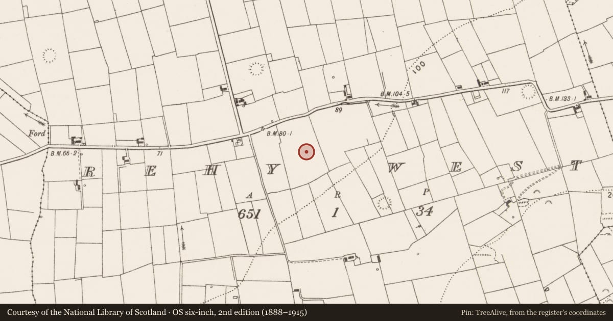 Ordnance Survey six-inch map, 2nd edition (1888–1915) covering the location of Hut site, Rehy West, County Clare, with a pin at the register's coordinates
