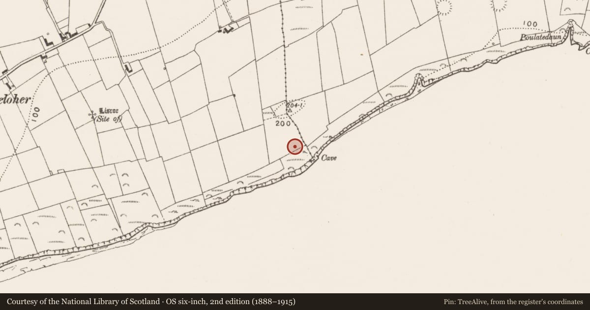 Ordnance Survey six-inch map, 2nd edition (1888–1915) covering the location of Standing stone, Rehy West, County Clare, with a pin at the register's coordinates