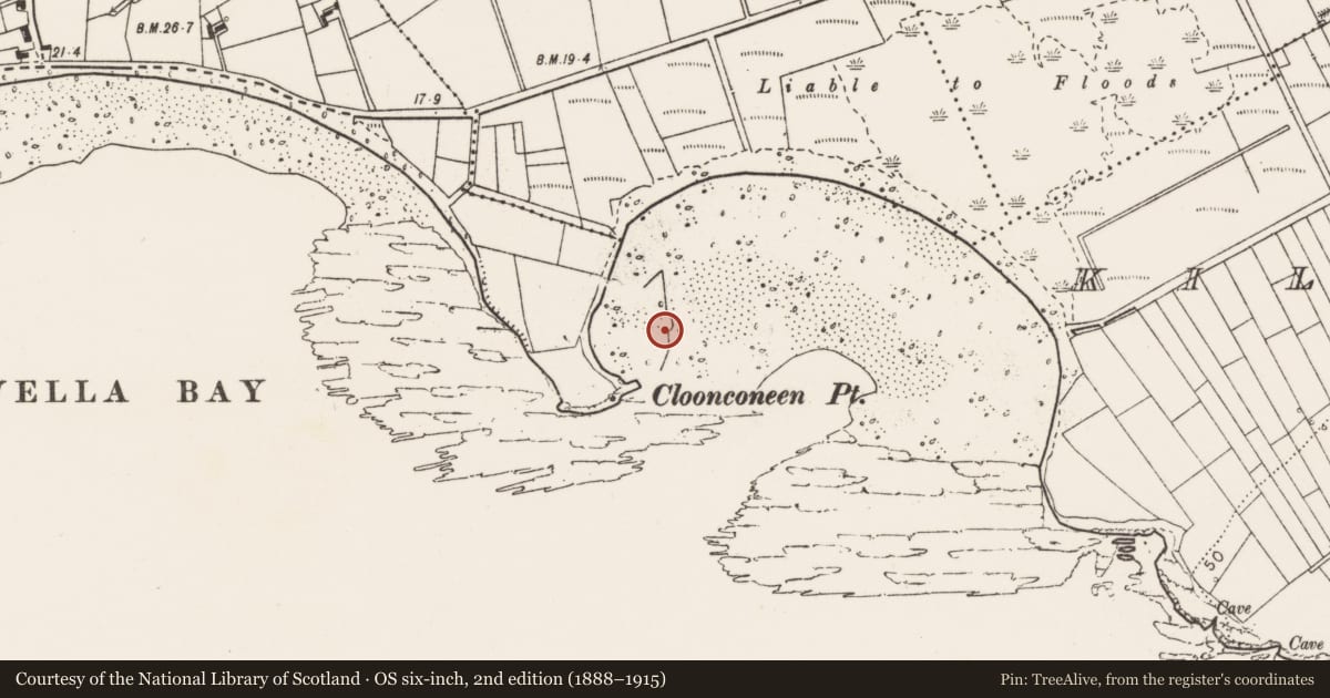 Ordnance Survey six-inch map, 2nd edition (1888–1915) covering the location of Weir - fish, Cloonconeen, County Clare, with a pin at the register's coordinates