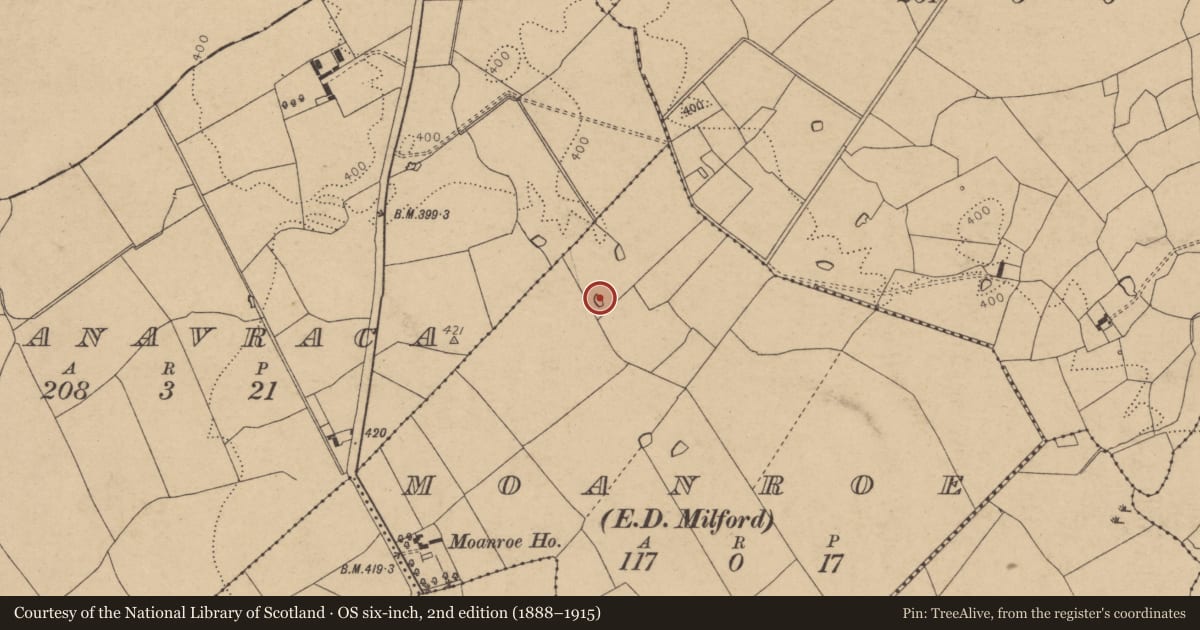 Ordnance Survey six-inch map, 2nd edition (1888–1915) covering the location of Fulacht fia, Moanroe (Orrery and Kilmore By., Kilbolane Par.), County Cork, with a pin at the register's coordinates