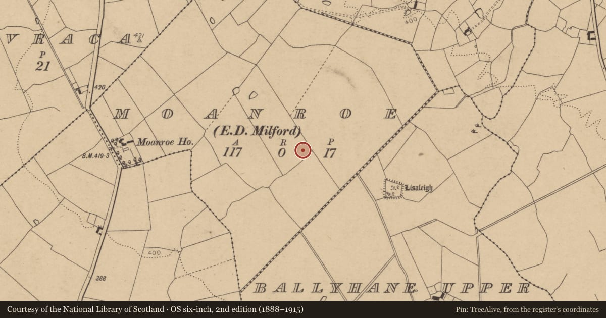 Ordnance Survey six-inch map, 2nd edition (1888–1915) covering the location of Fulacht fia, Moanroe (Orrery and Kilmore By., Kilbolane Par.), County Cork, with a pin at the register's coordinates