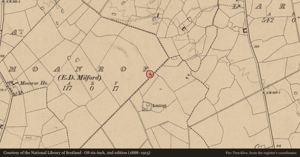 Ordnance Survey six-inch map, 2nd edition (1888–1915) covering the location of Fulacht fia, Moanroe (Orrery and Kilmore By., Kilbolane Par.), County Cork, with a pin at the register's coordinates