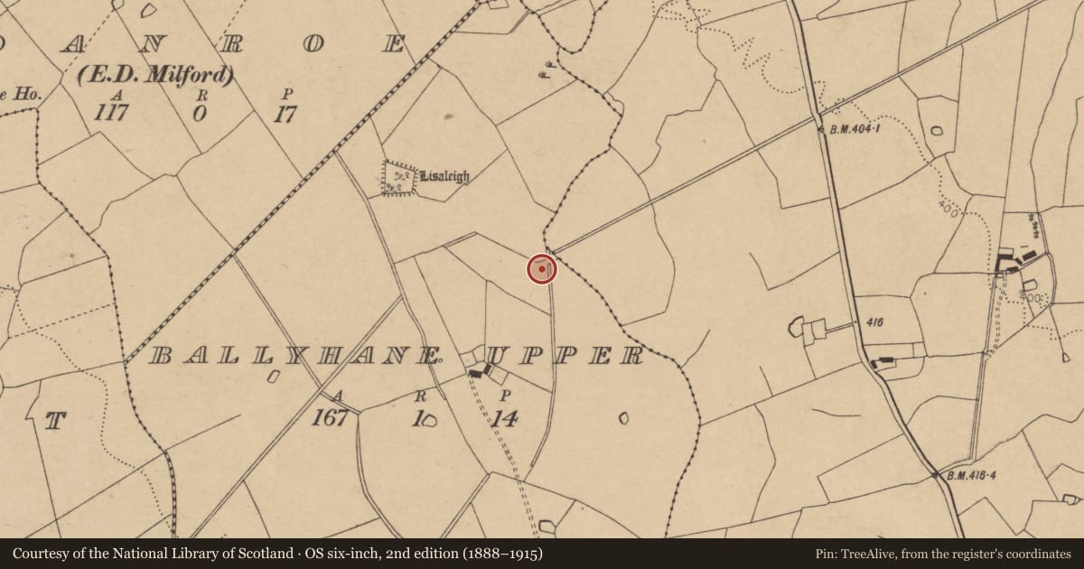 Ordnance Survey six-inch map, 2nd edition (1888–1915) covering the location of Fulacht fia, Ballyhane Upper, County Cork, with a pin at the register's coordinates